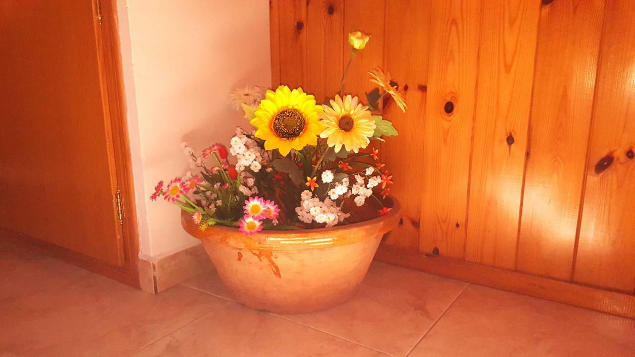 Apartament Casa Joan Barruera Zewnętrze zdjęcie